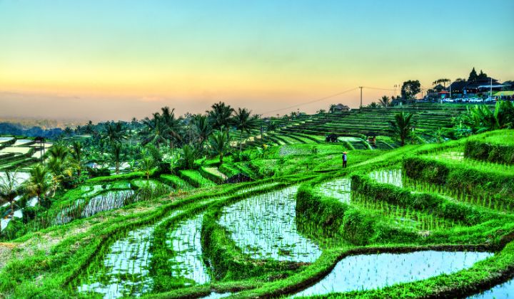 Top 200 BALI DESTINATIONS