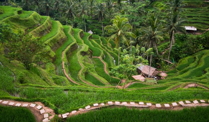 Top 200 BALI DESTINATIONS