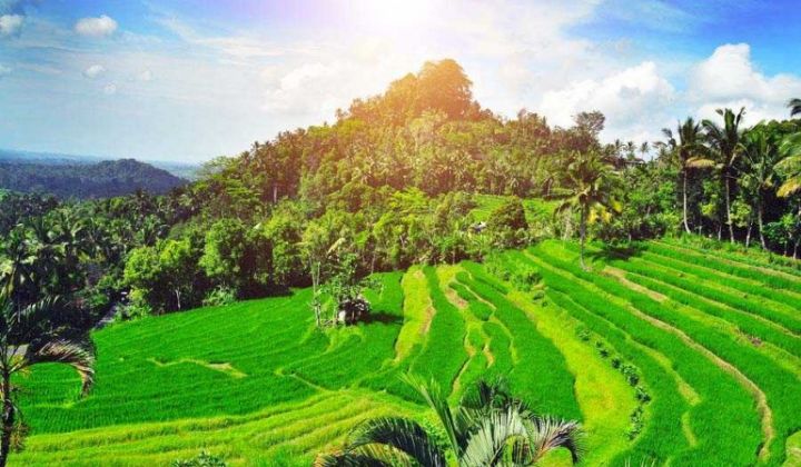 Top 200 BALI DESTINATIONS